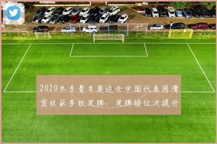 2020冬季青年奥运会中国代表团滑雪收获多枚奖牌，奖牌榜位次提升