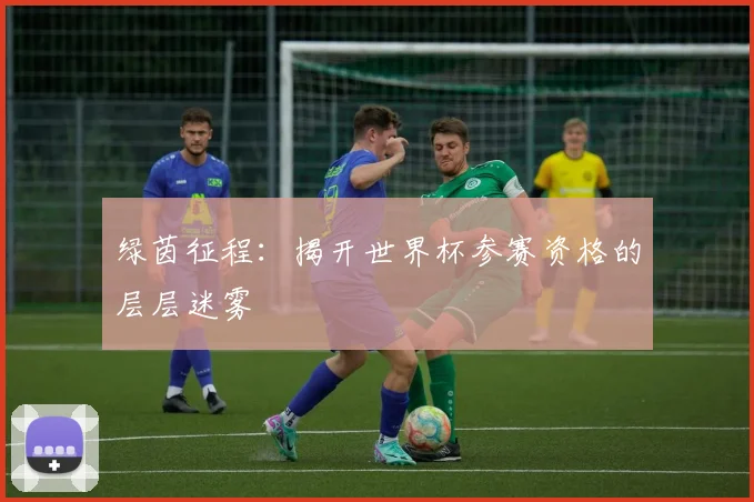绿茵征程:揭开世界杯参赛资格的层层迷雾