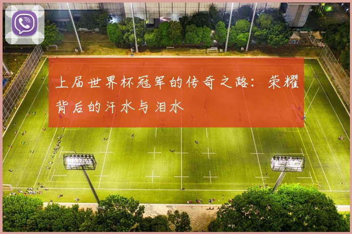 上届世界杯冠军的传奇之路：荣耀背后的汗水与泪水