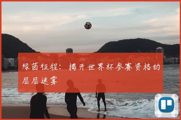 绿茵征程：揭开世界杯参赛资格的层层迷雾