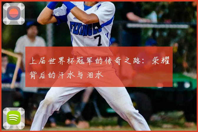 上届世界杯冠军的传奇之路：荣耀背后的汗水与泪水