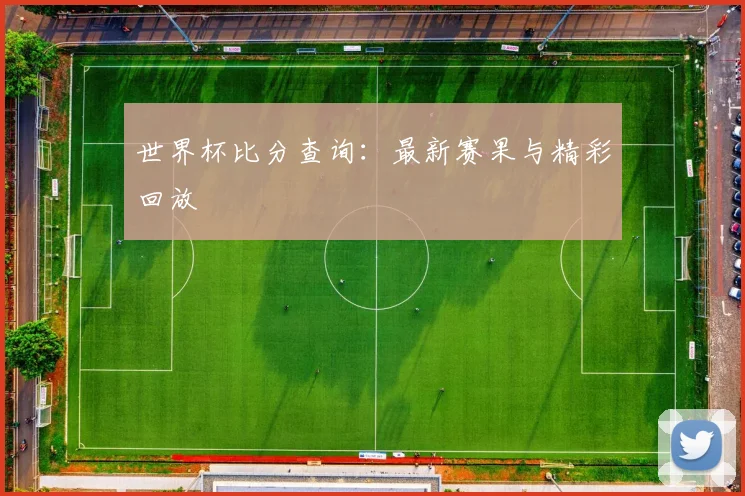 世界杯比分查询:最新赛果与精彩回放