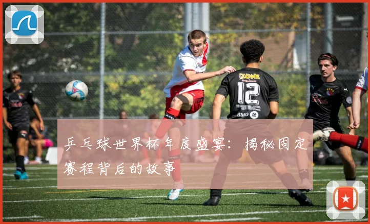 乒乓球世界杯年度盛宴：揭秘固定赛程背后的故事