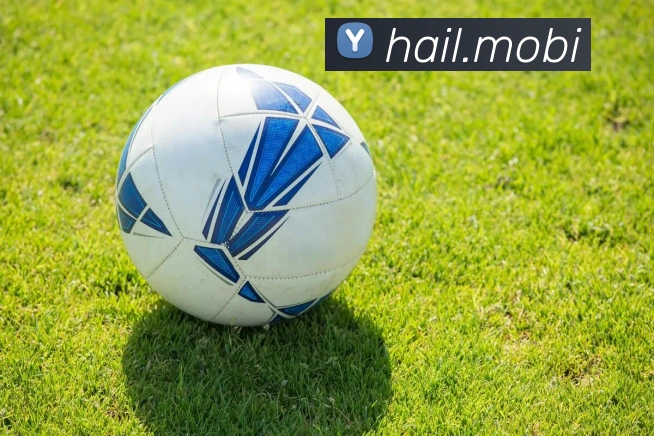 奇异果app官网下载入口APP 封面图